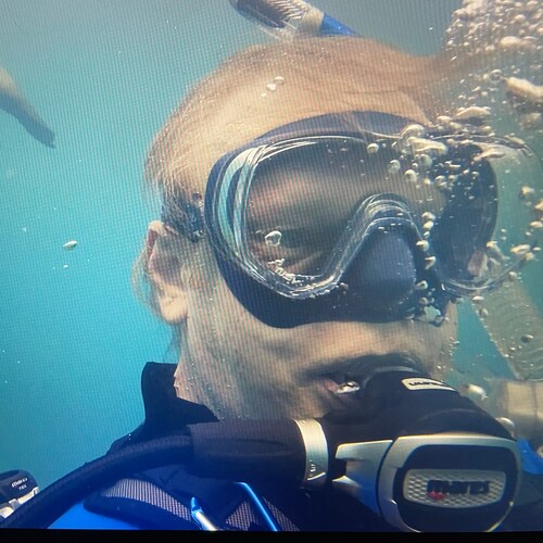 Visit timhelm's profile on GETTR. View their posts, photos, videos, and connect with them on the social platform.