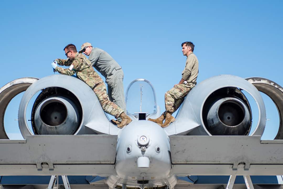 View TeriY🍊's post on GETTR. Join the discussion, share your thoughts, and connect with the community.