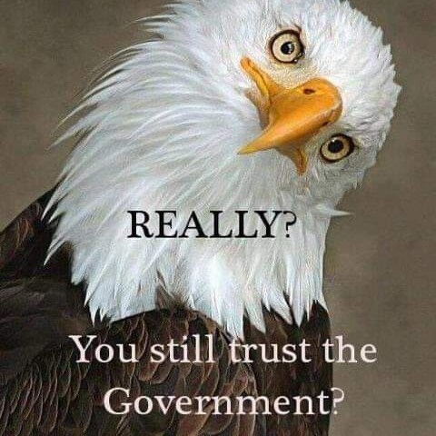 Constitutionalist 
ULTRA MAGA
Thoroughbred horse racing.
Exercise Rider , Trainer/breeder and now a Horse shipper Equine...