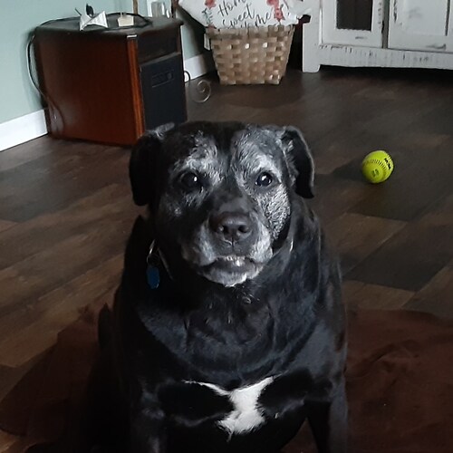 Visit r_lee's profile on GETTR. View their posts, photos, videos, and connect with them on the social platform.