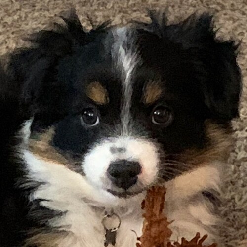 It's been my experience that you can nearly always enjoy things if you make up your mind firmly that you will.