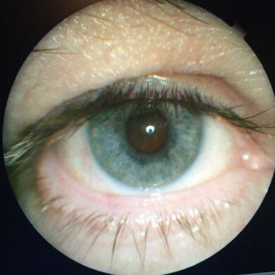 Father, Grandfather.. protector.        truth to power , dark to light