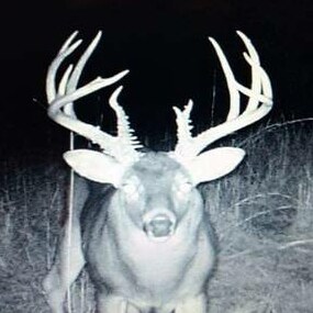 $2250.00 for 6 days of hunting, muzzleloader, bow/crossbow for the Kansas rut, or December rifle.