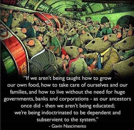 View JacobBaikal's post on GETTR. Join the discussion, share your thoughts, and connect with the community.