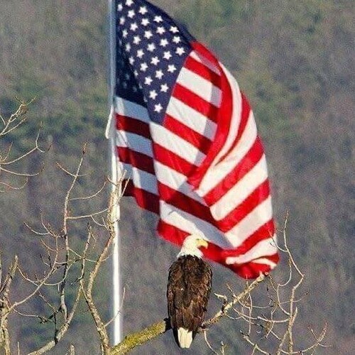 America is the Greatest Country on Earth. Protect your right to provide for your family.