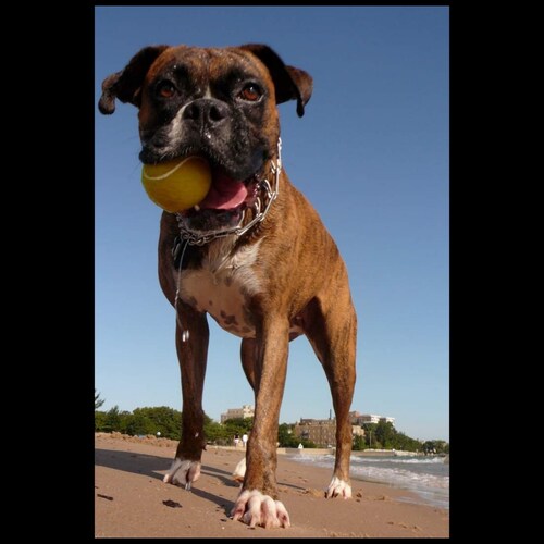 Will follow back. Conservative libertarian. While I hate the Democrat party that doesn't make me a big fan of the GOP.  ...