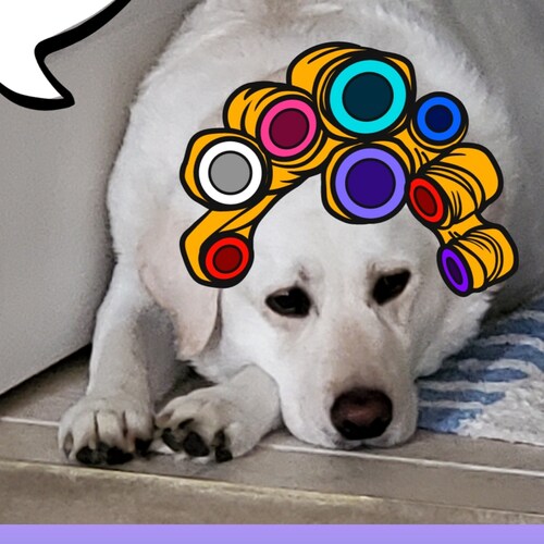 Freedom loving, lifetime NRA member, Glock Girl. ❤ 🐾🇺🇲