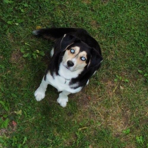 All I want is the truth