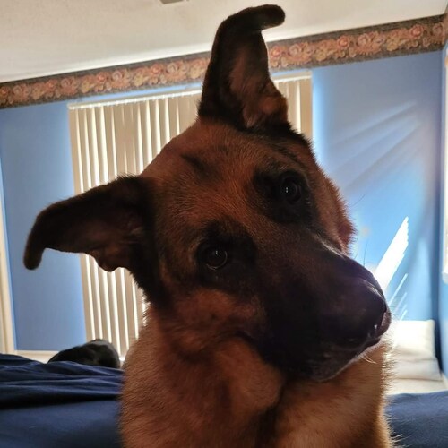 Family, God, and Country.