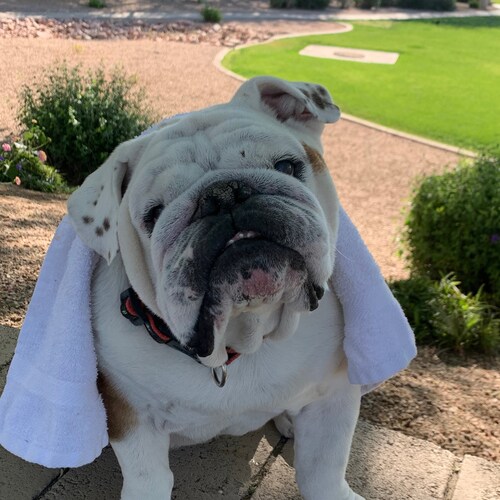 small business owner