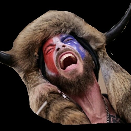 Nationalist, Populist, Traditionalist..

Anti-communist, Anti-oligarch, Anti-immigrant..

Republicans are gay, Libertari...