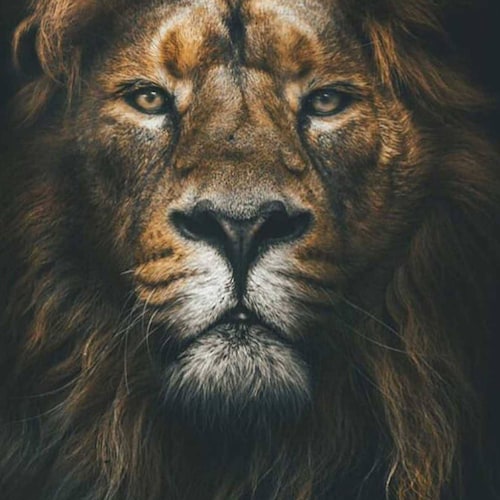 We are all spiritual beings of Love, Light and Truth. Be a lion and not a sheep. Hold the line, trust the plan. God, Pat...