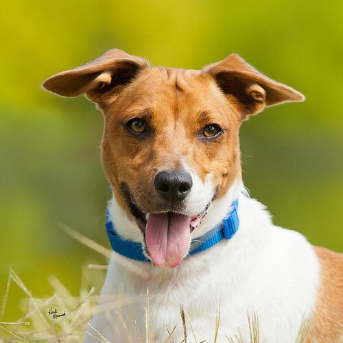 Drain the Swamp…Protect our borders..CRT has no place in our schools..Two tiered justice system needs to go..Cuffs and j...