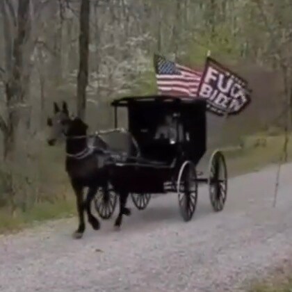 Concervative to the bone. I could shit a better president.