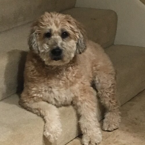 Father, Patriot, Musician and Digital Forensics Hacker.