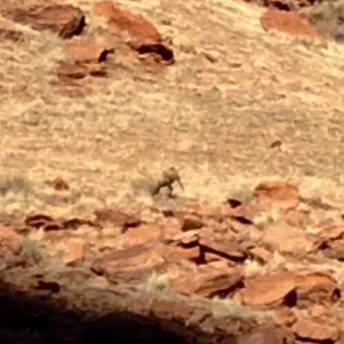 🇺🇸Im a Retired Patriot!🇺🇸
 The 2A protects the 1st !
Trump is Still My President
  The tides have changed
 our lives...