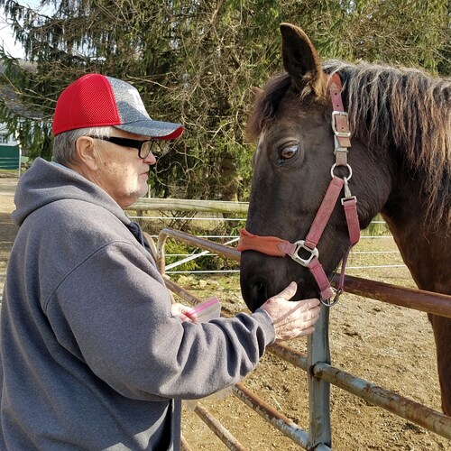 I love God, my horses and my country. President Trump is the true president.