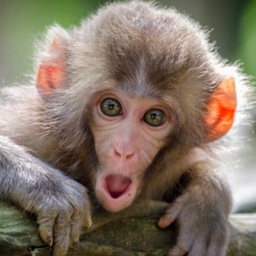 Truth seeker going against the grain!