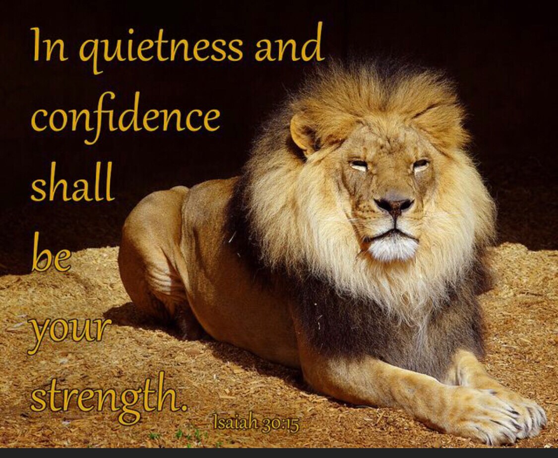 View PatriotPower ✝️ 🇺🇸's post on GETTR. Join the discussion, share your thoughts, and connect with the community.