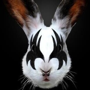 Visit NuclearMagaMama🍊's profile on GETTR. View their posts, photos, videos, and connect with them on the social platform.