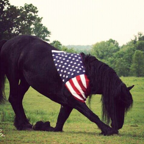 Just a simple God loving Patriot.  There are three sides to every story: Yours,  Mine, and the TRUTH! 
 MAGA
 WWG1WGA 
 ...