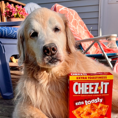 πΊπΈ Michigan Patriot πΊπΈ God Bless the USA β€οΈπβ€οΈπ Conservative Catholic who loves her country ππΊπΈππΊπΈπ TRUMP W...