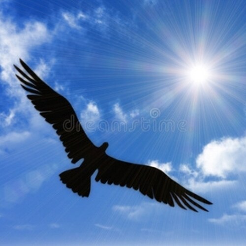 Visit 自由飞翔's profile on GETTR. View their posts, photos, videos, and connect with them on the social platform.