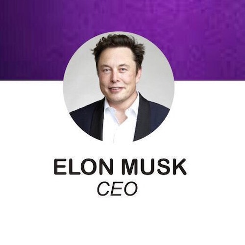 elon-reeves-musk-on-gettr