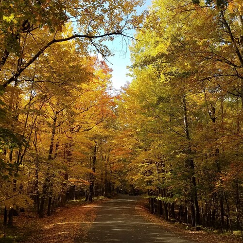 Visit northwoodsgal's profile on GETTR. View their posts, photos, videos, and connect with them on the social platform.