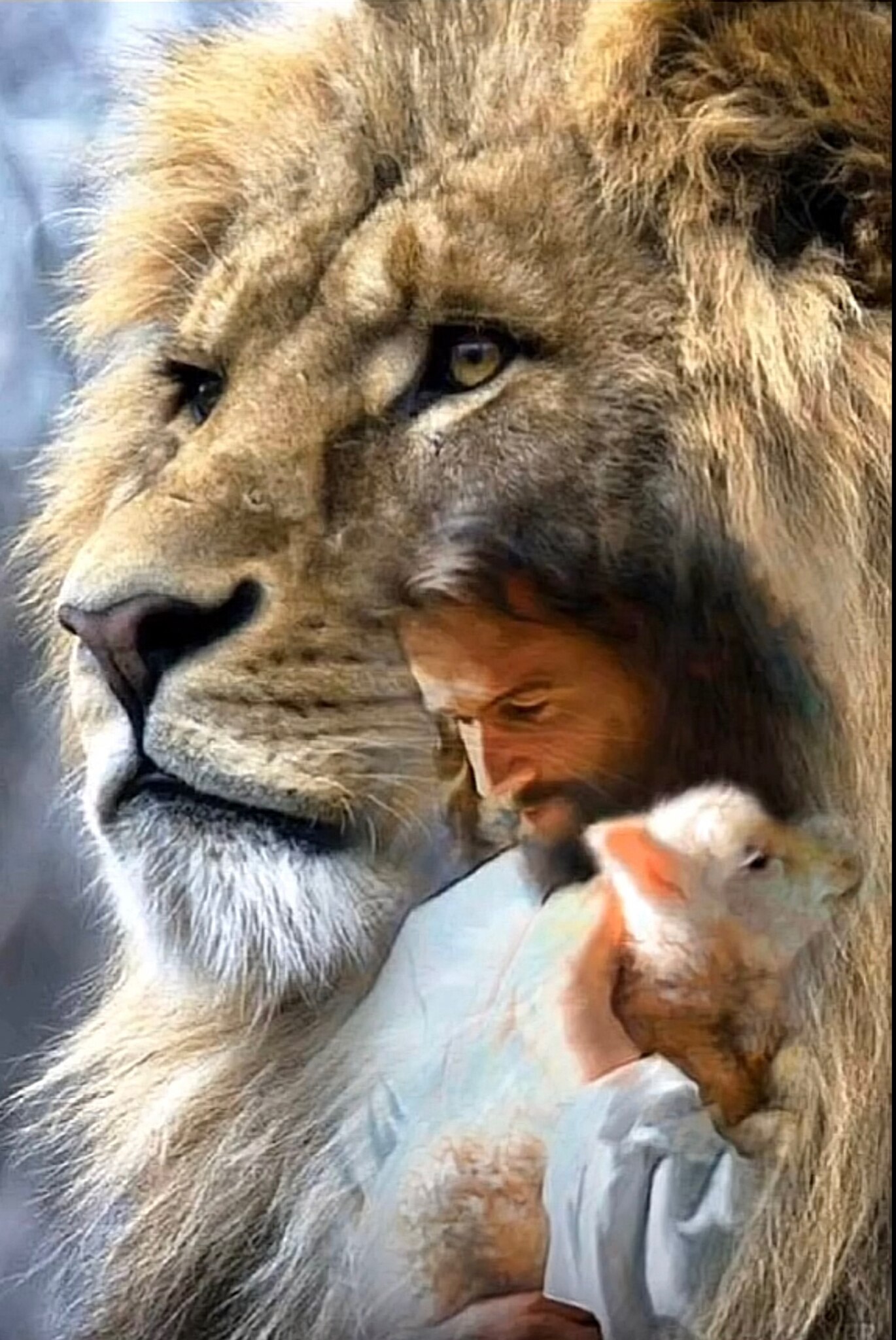 View conservativearmywife's post on GETTR. Join the discussion, share your thoughts, and connect with the community.