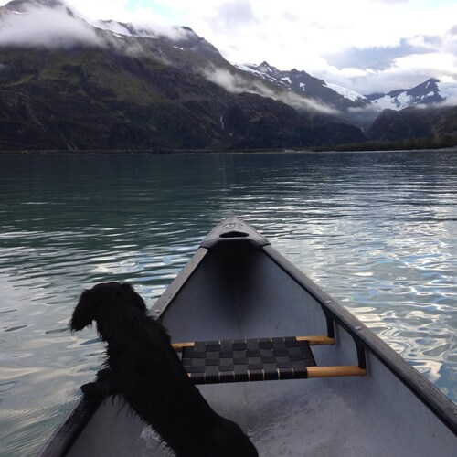 #Alaskan #Trump #Liberty Love Alaska and America! @AlaskanKasey on #Truth Social  Hope you enjoy the pictures and videos...