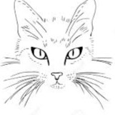 Hard working fifth-generation American farmgirl & patriot!  Part of the working class and proud of it, small businesswom...