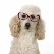FLORIDA WOMAN.  Momma Bear, Dog Lover, MAGA Patriot, Seeker of Truth.  Trump Won ... Biden Cheated.  They know it, WE ALL KNOW IT.