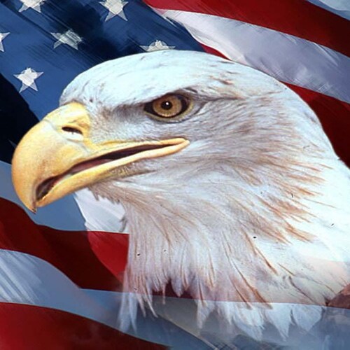 Patriot.  Conservative.  2nd Amendment supporter.
Resident of America’s newest Red state.