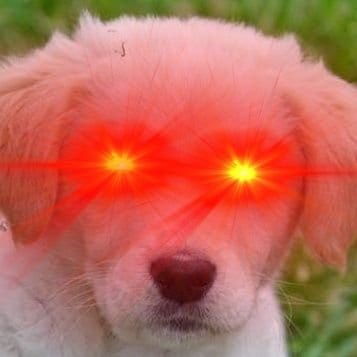 I am one of the Sheep Dogs, watching for the wolves. Keep following the wolves and ya'll will get eaten. All of you can'...