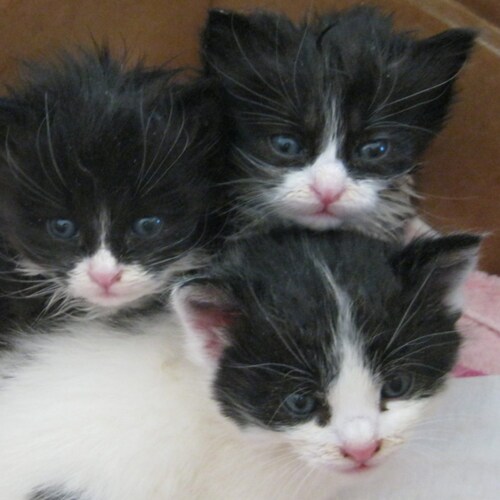 Visit robyn's profile on GETTR. View their posts, photos, videos, and connect with them on the social platform.