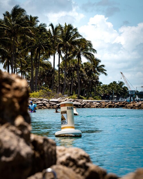 Visit aryancoggins's profile on GETTR. View their posts, photos, videos, and connect with them on the social platform.