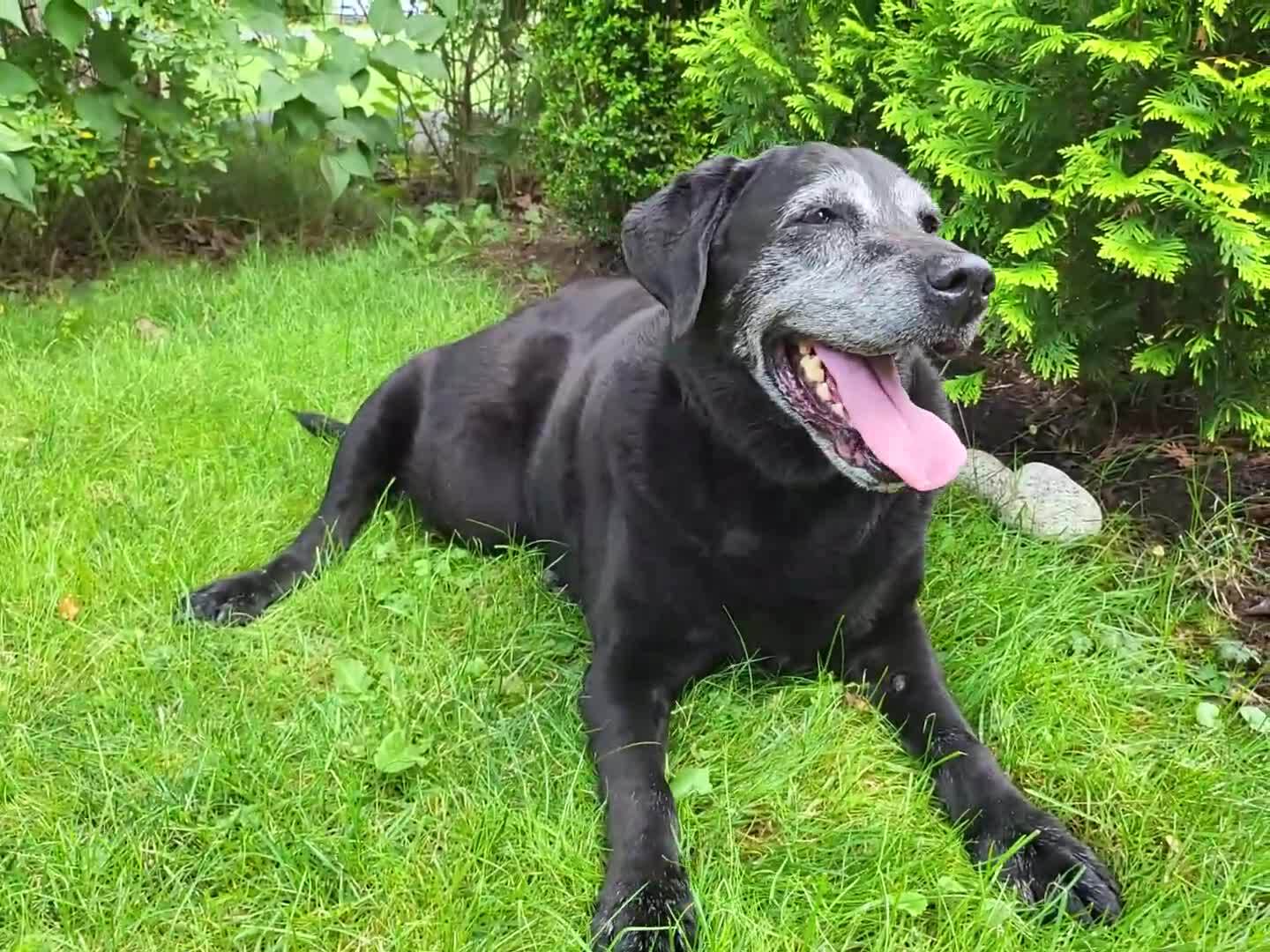 Thank you to Nic who donated  49 dollars for Amita's campaign! I appreciate it to no end! If anyone ...