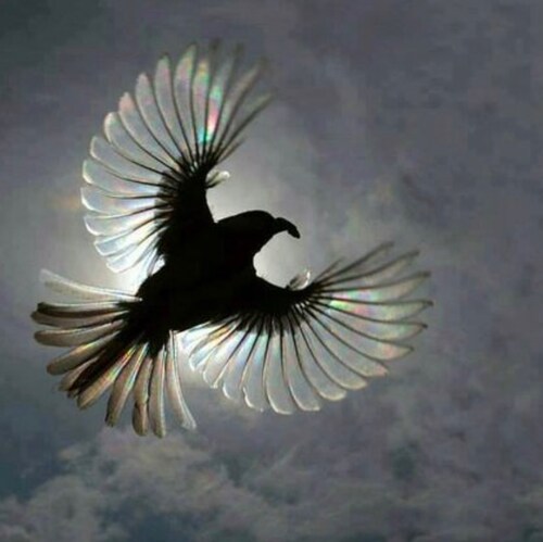 Patriotism is our sacred duty. Protect freedom. Respect kindness. The world is crazy right now. Be prepared. God bless o...