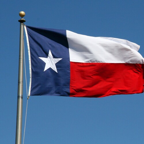 Freedom Loving Patriot 🇺🇸