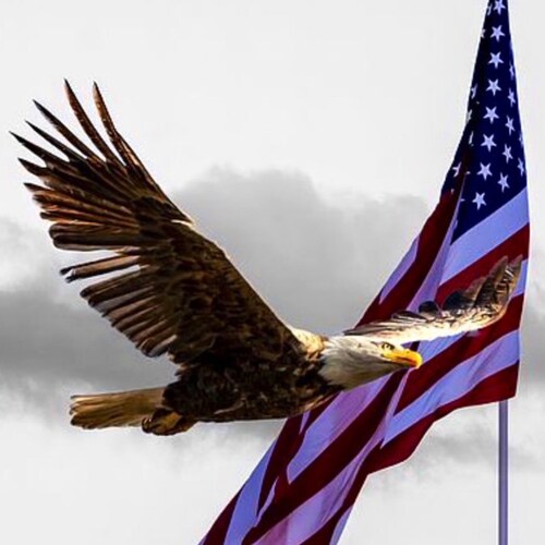 American Patriot