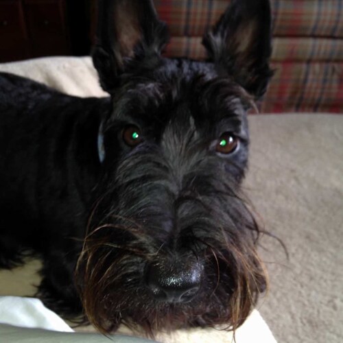 “Never give in. Never give in. Never, never, never, never—in nothing, great or small… Winston Churchill