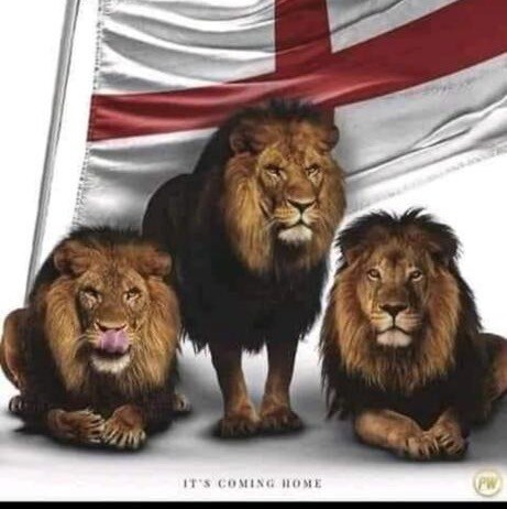 Father, Husband & UK Patriot. Trust 17, Trump and not much else.