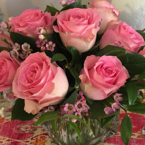 Christian, veteran U.S. Navy, conservative,love my poodles 🐩 🐩, married, patriot . Voted for Trump twice, I will again...