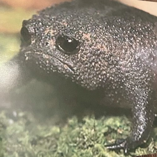 Visit Qtah's profile on GETTR. View their posts, photos, videos, and connect with them on the social platform.