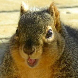 Visit HairySituation's profile on GETTR. View their posts, photos, videos, and connect with them on the social platform.