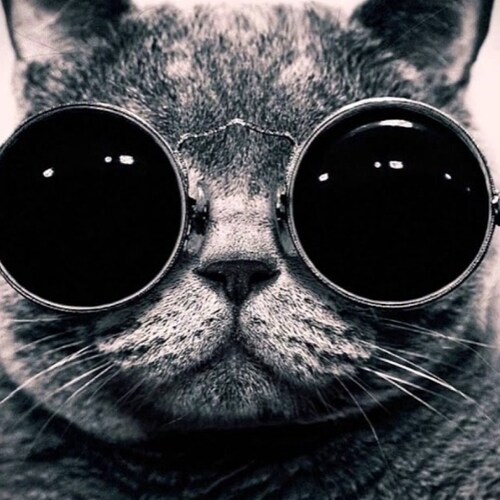 Looking to make this my new home after getting kicked off twitter! I LUV MY FELLOW PATRIOTS🔥🌟🗽🇺🇸🌟🔥