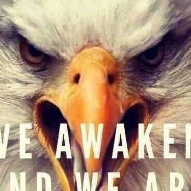 Conservative Christian, Husband, Father, Grandpa, Patriot, America First, MAGA, 1A, 2A.                Pureblood