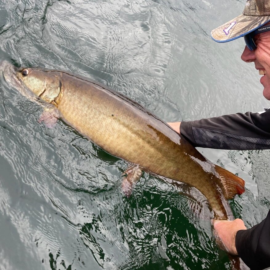 The release is the best part