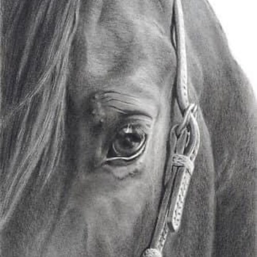 God fearing, homeschooling, horse riding wife & mama who loves entrepreneurship, her family, friends, animals, and weather!